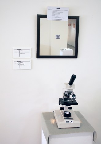 David Taylor's 'Exploration #1 & #2'